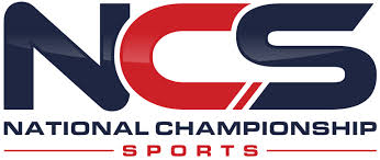 CV World Series Logo