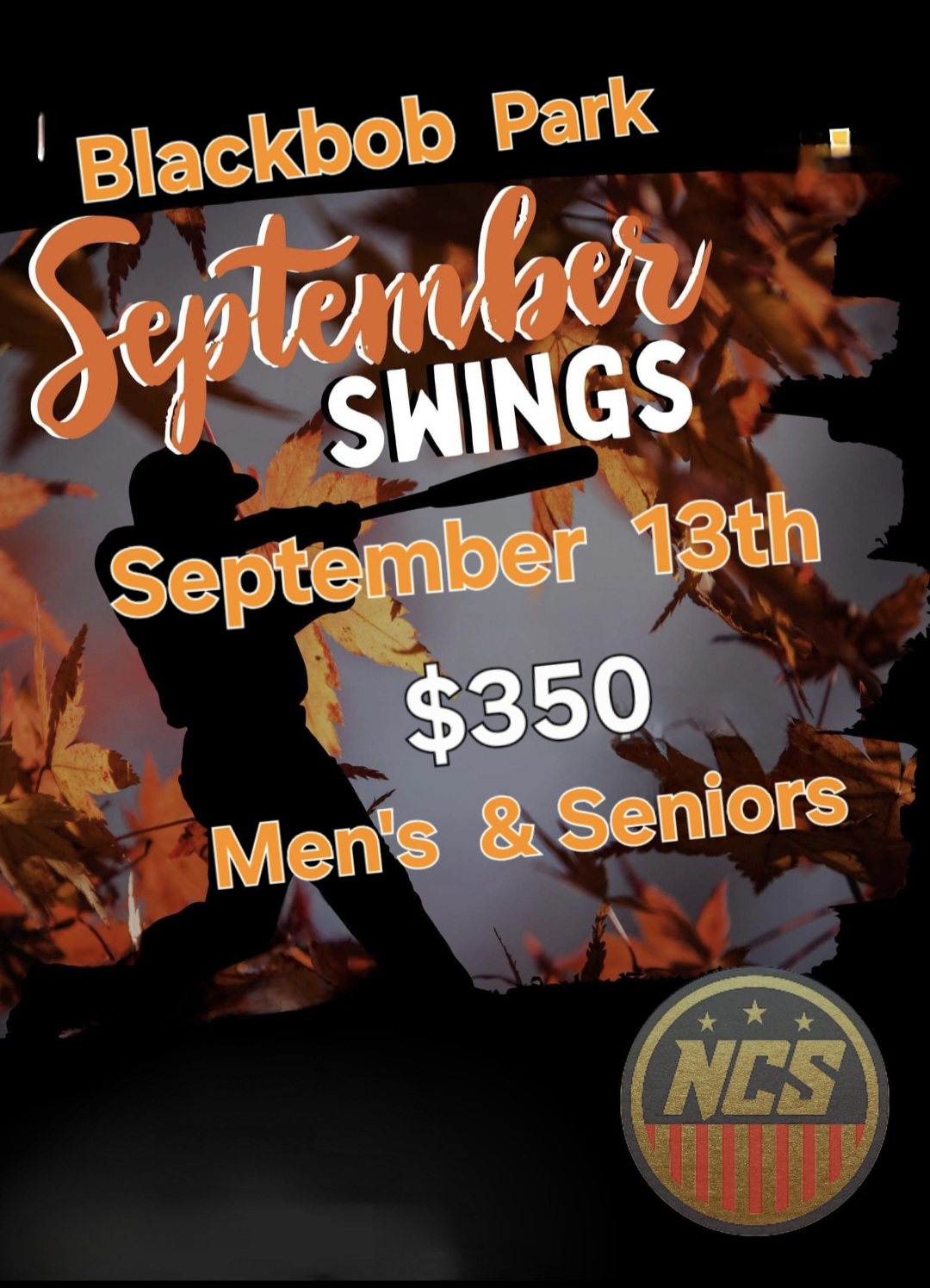 September Swings Logo