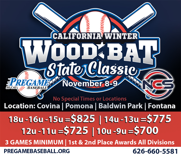 Winter Wood Bat State Classic Logo