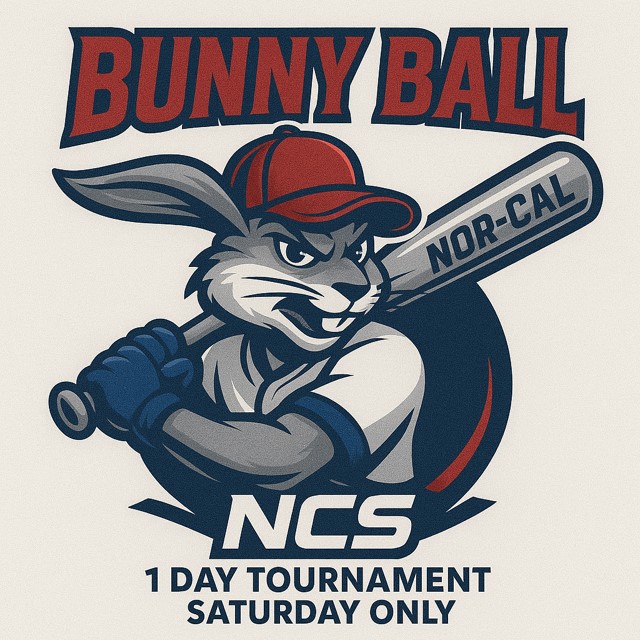 Bunny Ball Logo