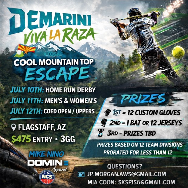 NCS - COOL MOUNTAIN TOP ESCAPE - (3GG) - MENS, WOMENS & COED E, D - (NIT QUALIFIER) LIMITED SPOTS Logo