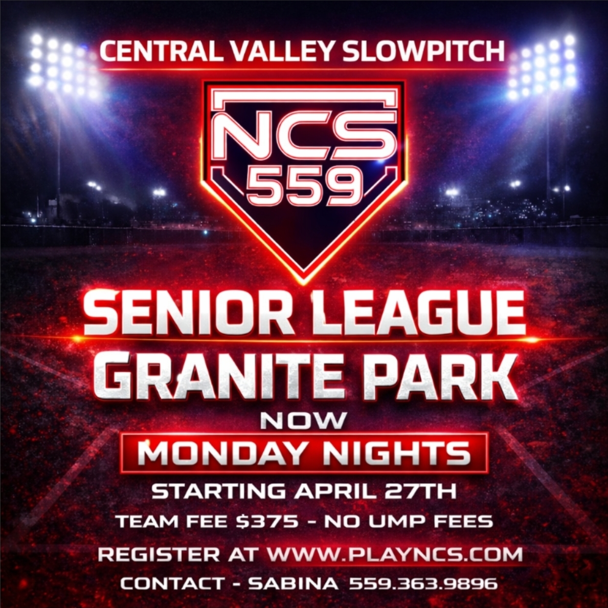 NCS 559 MENS SENIOR LEAGUE Logo