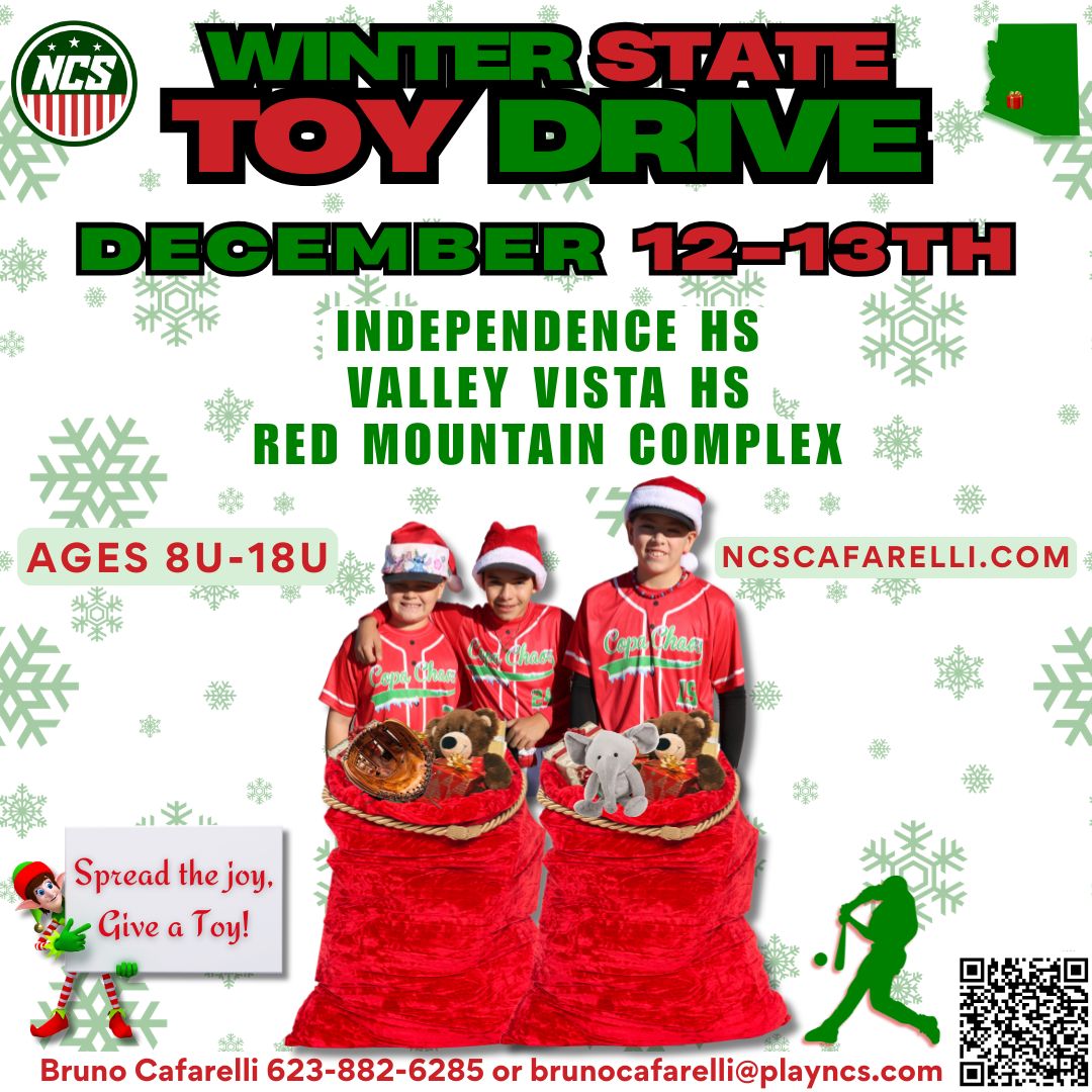 Winter State / Toy Drive Logo