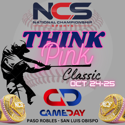 THINK PINK "PUT A RIBBON ON IT" Logo
