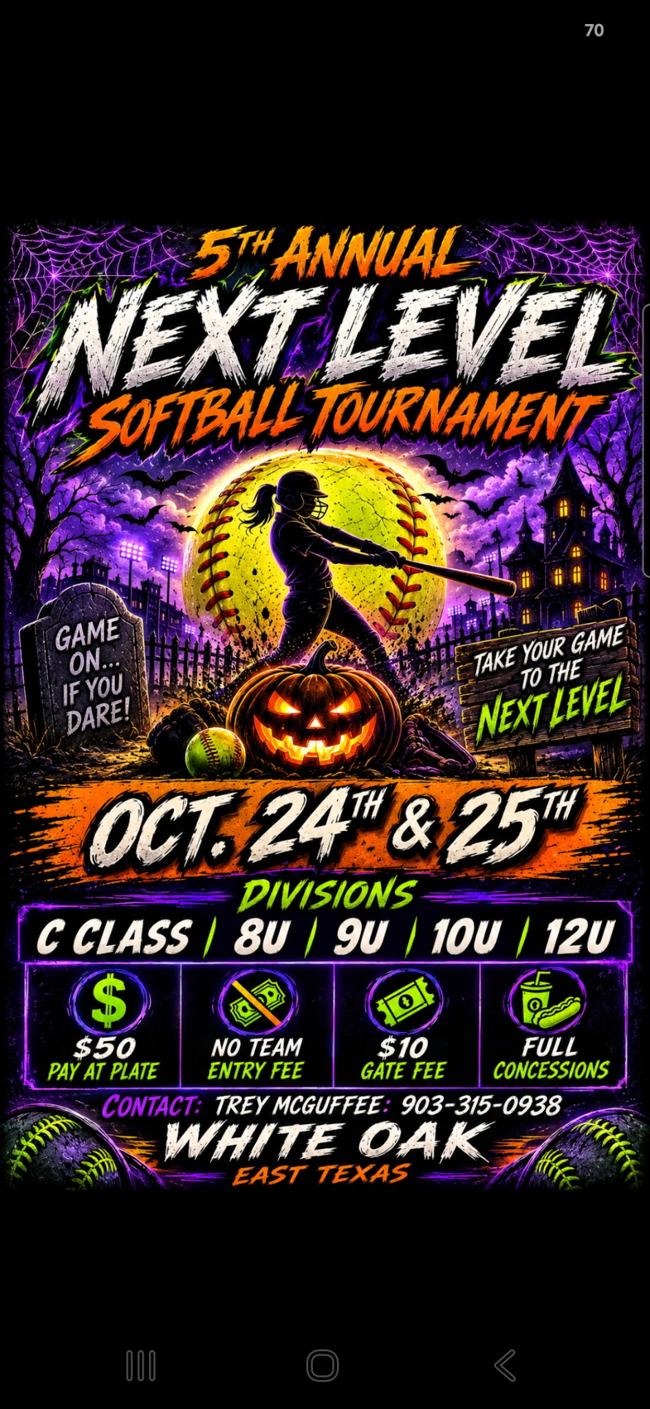 5th Annual Next Level Softball Tournamnt Logo