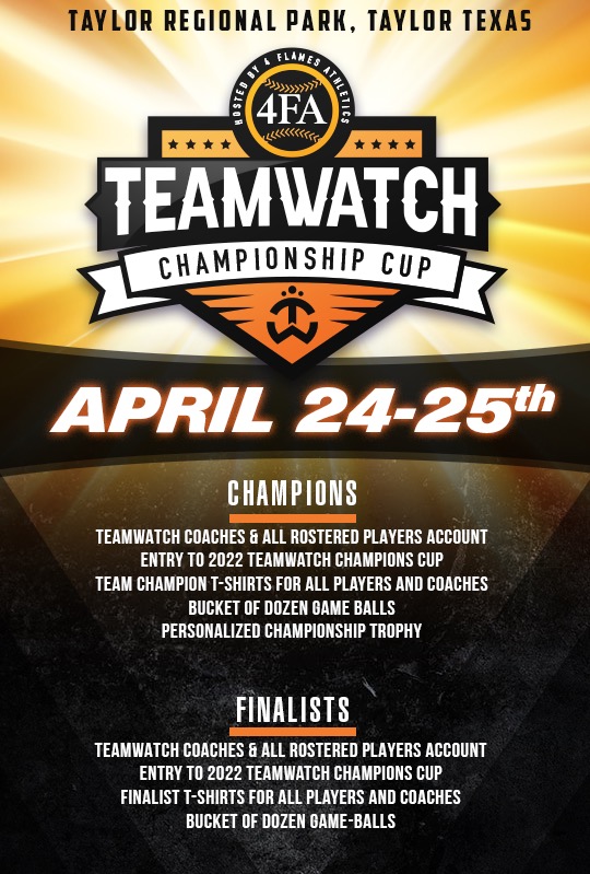 TEAM WATCH CHAMPIONSHIP CUP Logo