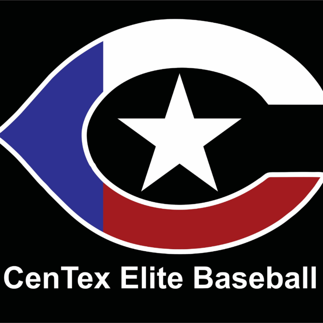 CEB Sizzlin Bats - North Logo