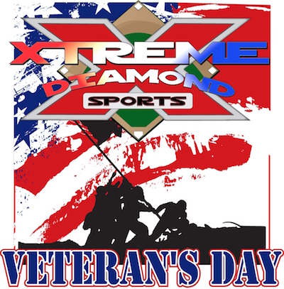 Veteran's Day Rings NIT Logo