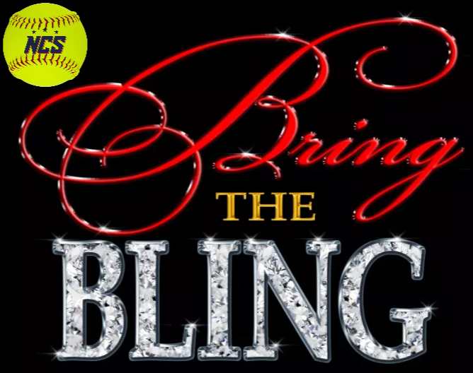 BRING THE BLING 4gg SPECIAL Logo