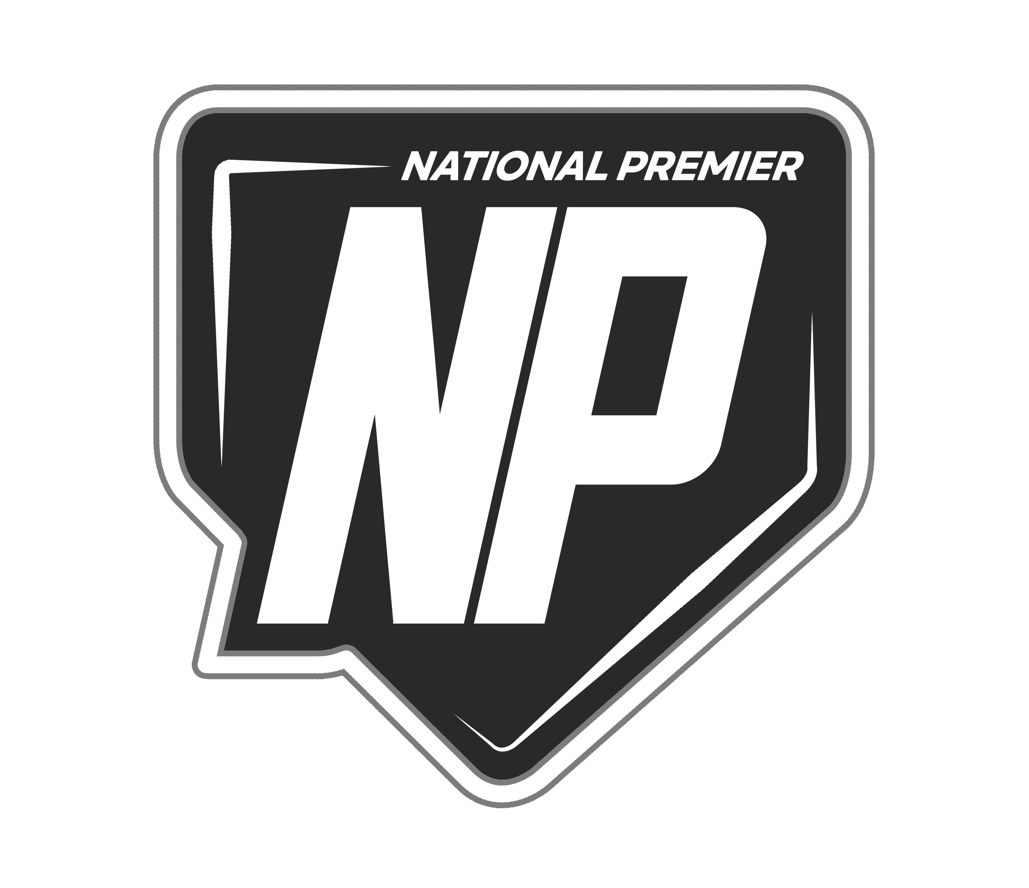 NCS Swings for Rings -NCS SIX PACK- PLAY IN STANTON OR PECOS TX Logo