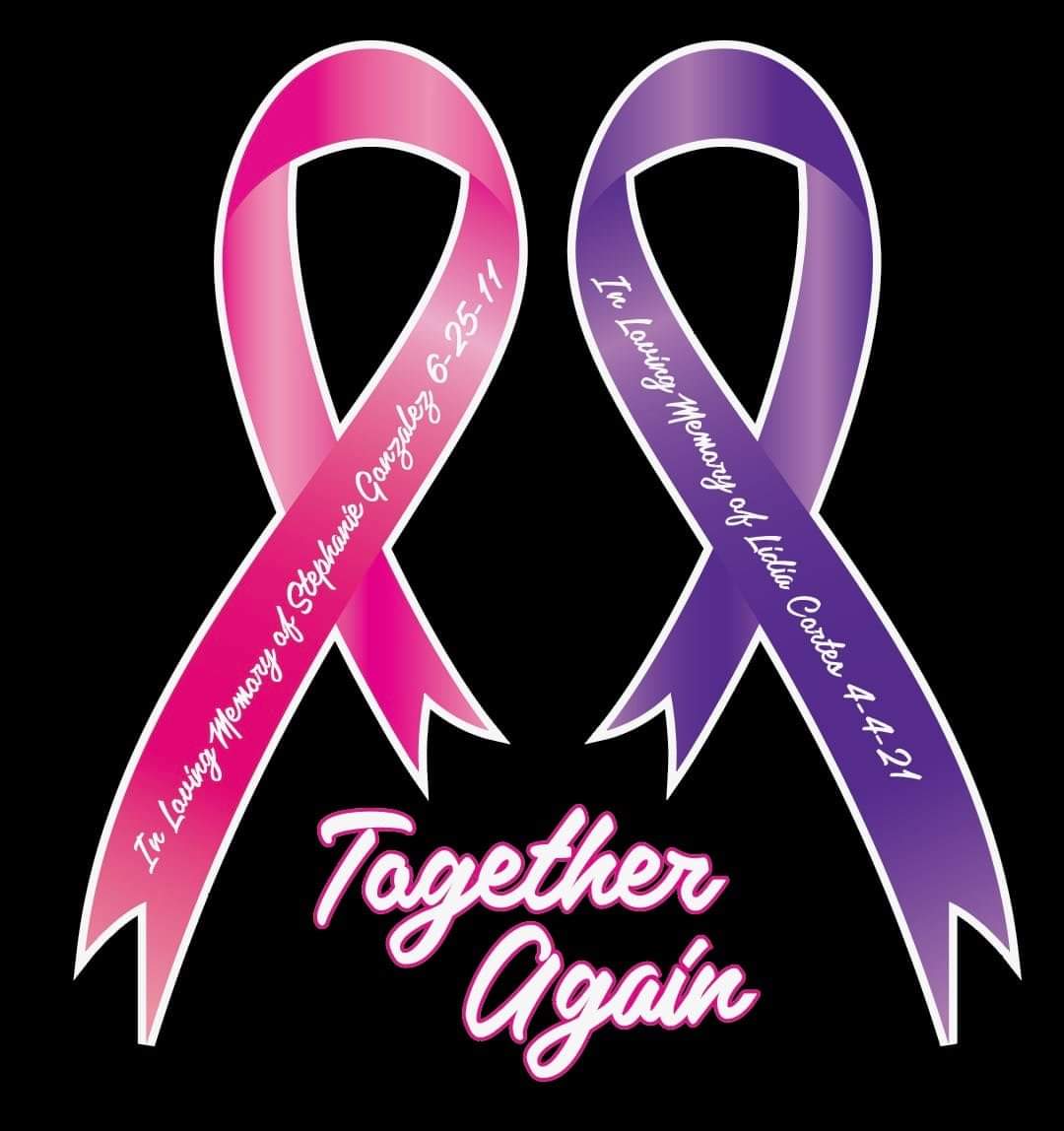 Stephanie & Lidia's Batting away domestic violence Logo