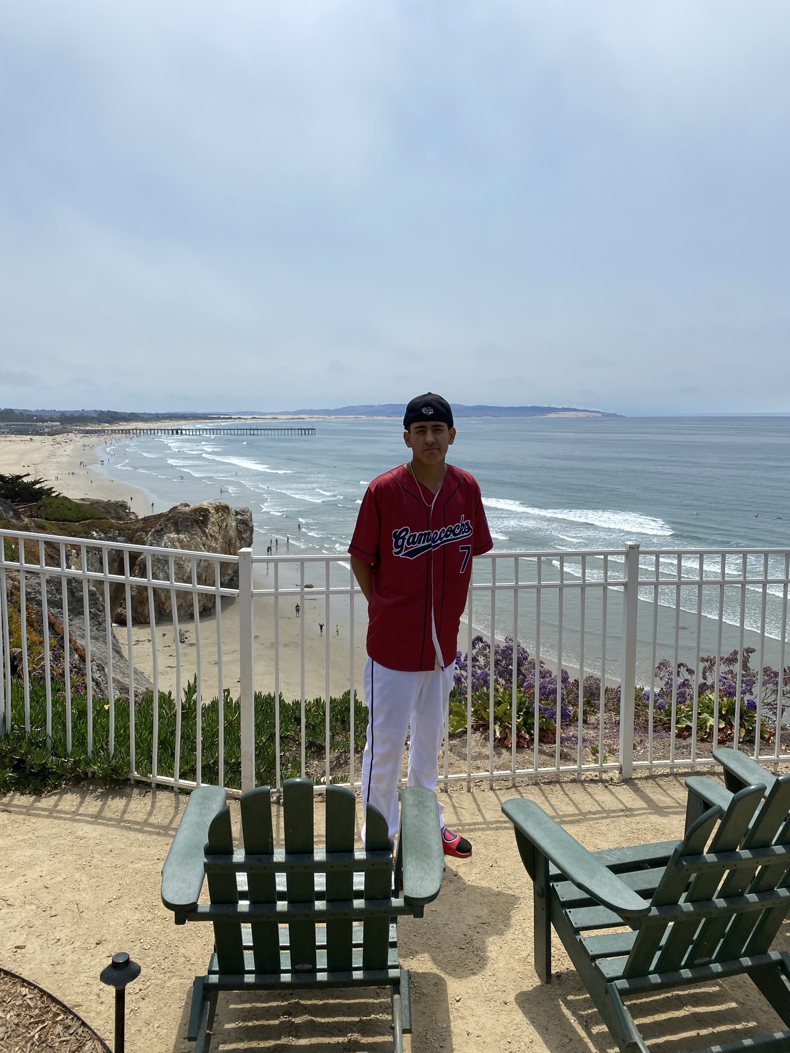 nicholas llamas