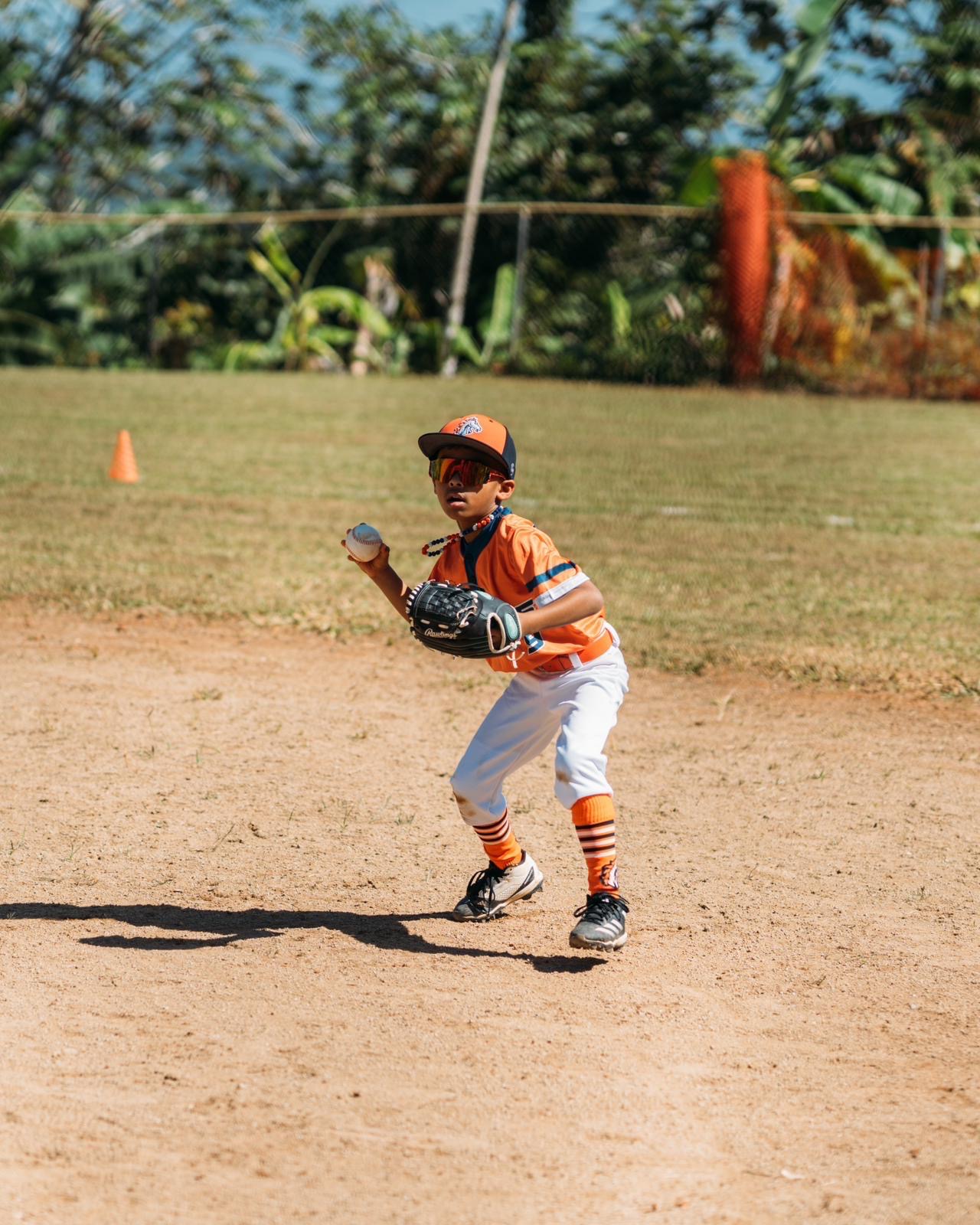 Sebastian A Colon Diaz