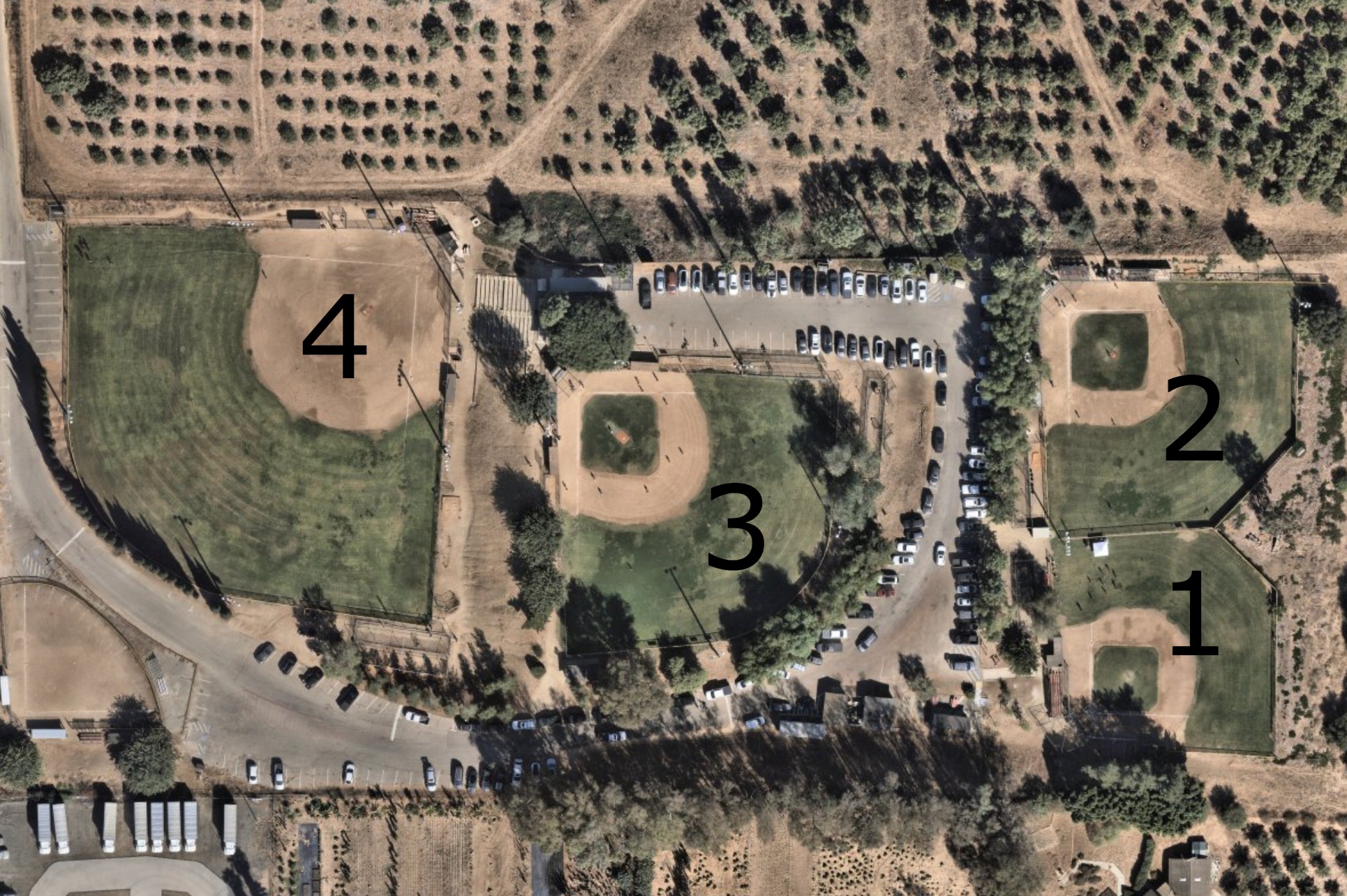 Fallbrook Youth Baseball