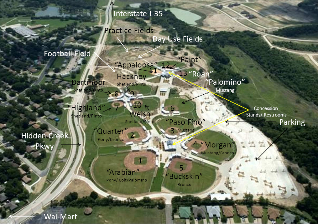 Chisenhall Fields