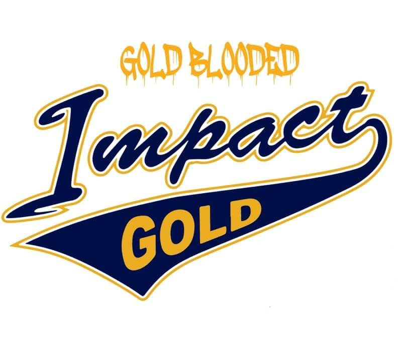 National Championship Sports | Fastpitch | Impact Gold STX | 14U B