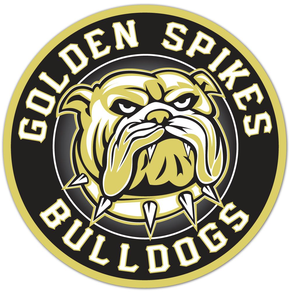 National Championship Sports Baseball Golden Spikes Bulldogs 13U D3