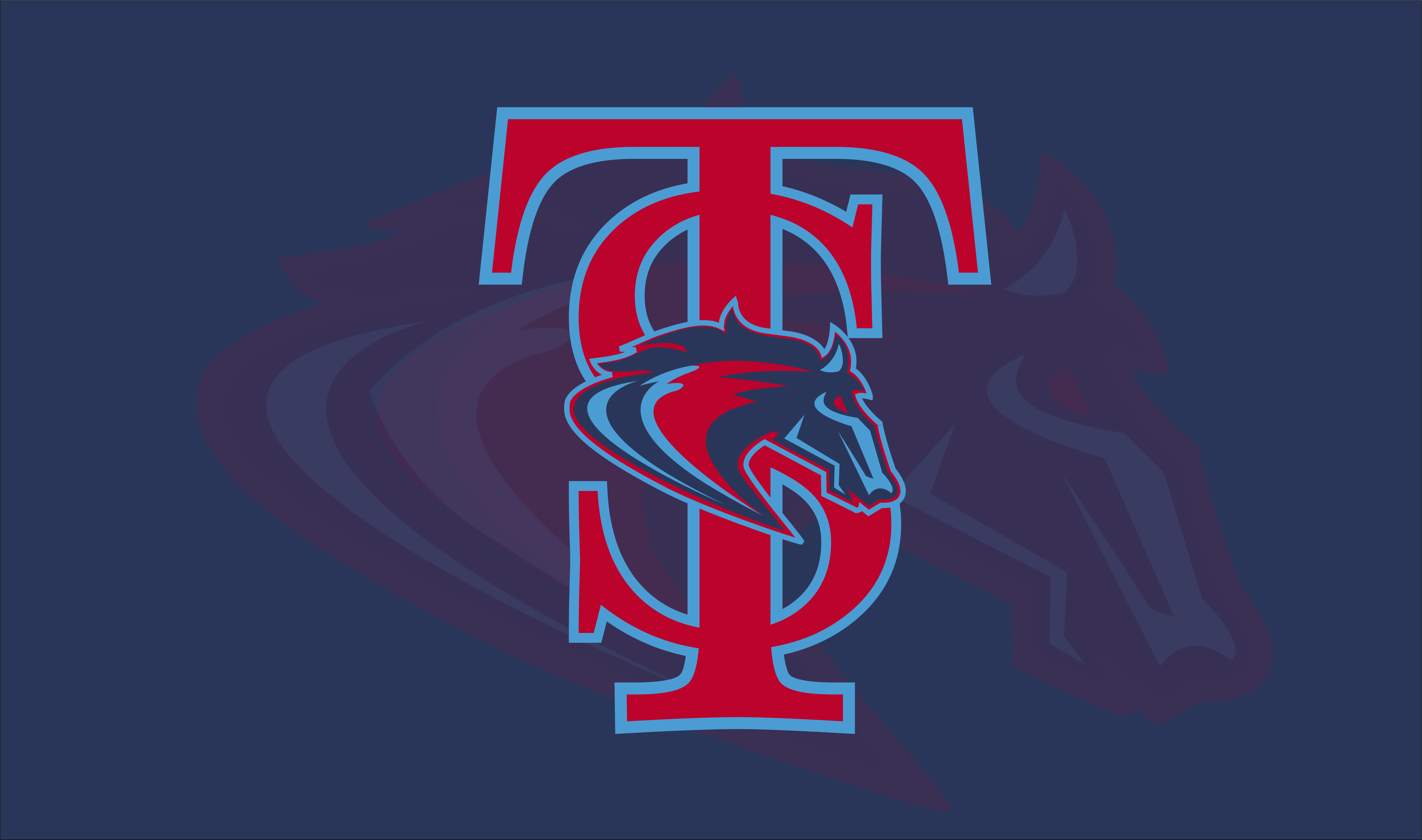 National Championship Sports Baseball STX Mustangs 16u 16U D2