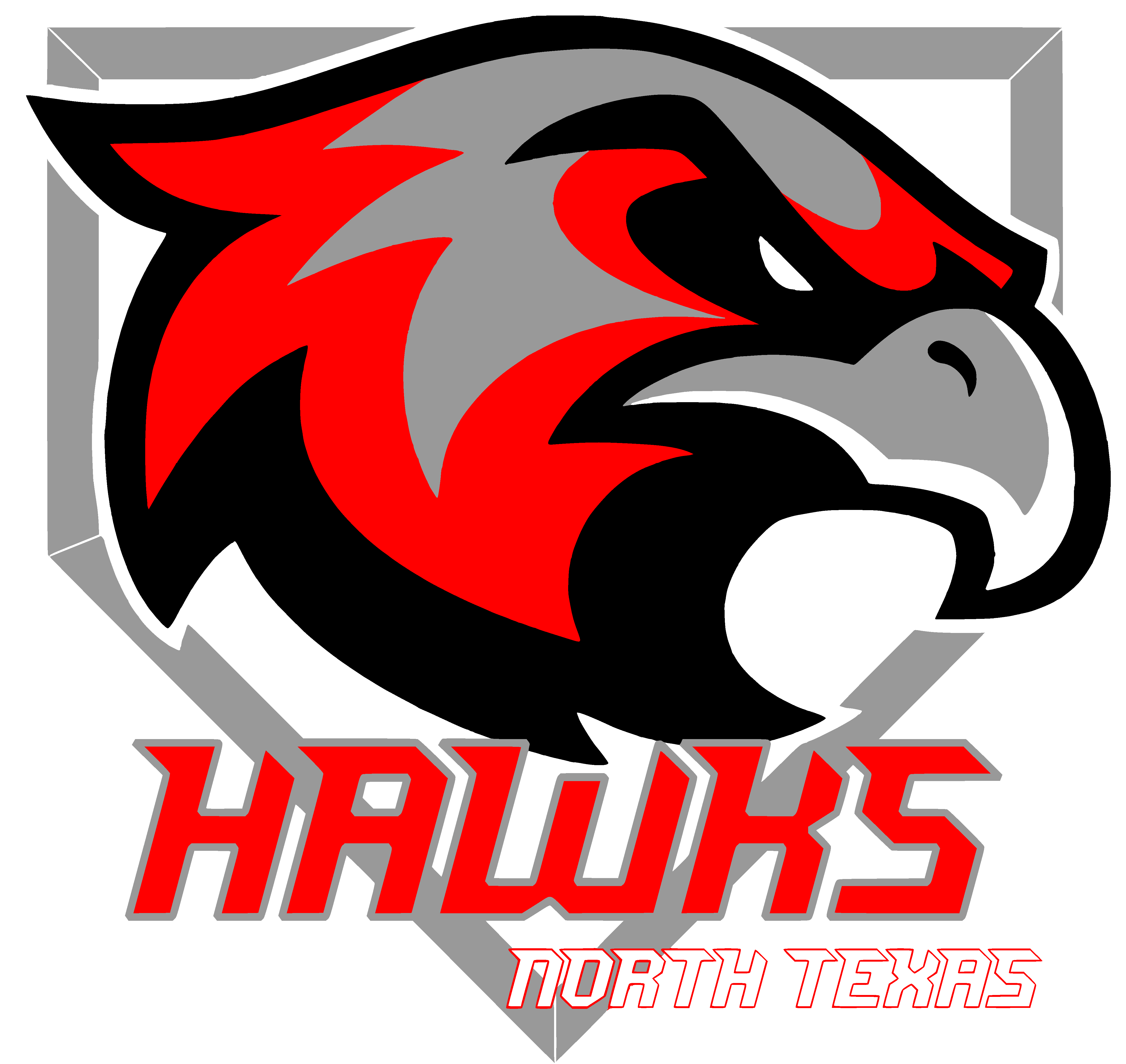 National Championship Sports | Baseball | North Texas Hawks | 9U D2