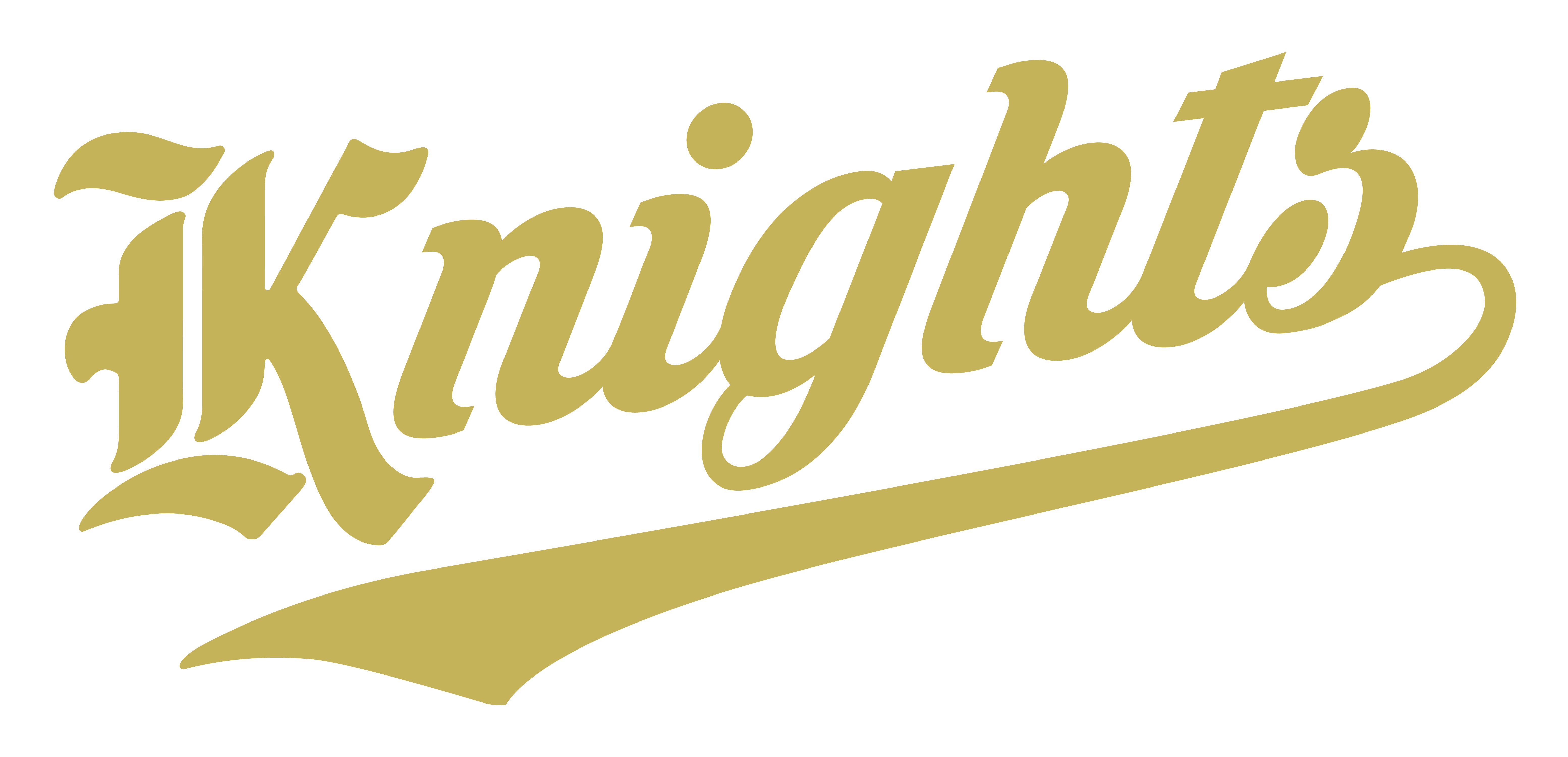 National Championship Sports Baseball Foothill Knights 12U D3