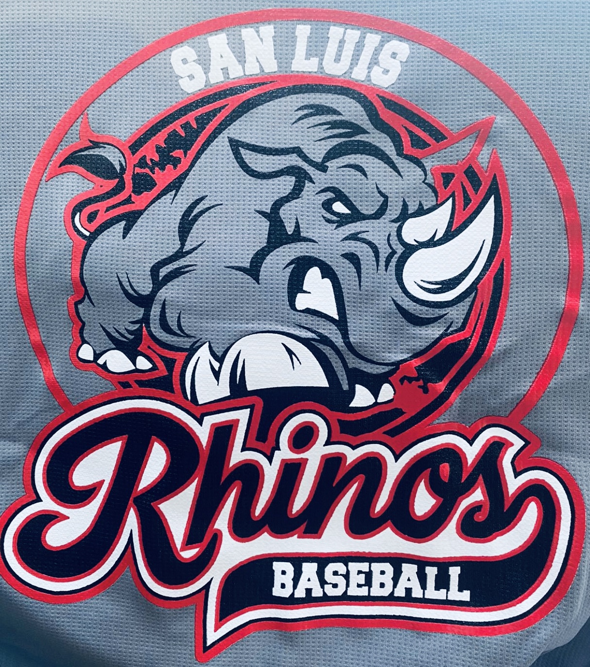 National Championship Sports Baseball Rhinos 14U 14U D2
