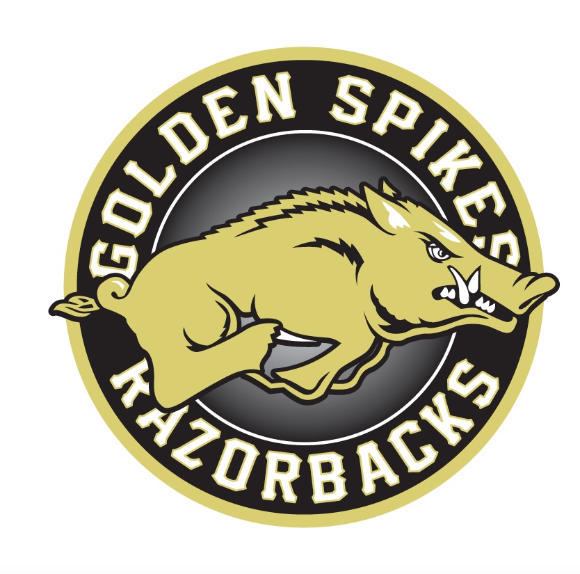 National Championship Sports Baseball Golden Spikes Razorbacks 13U D1