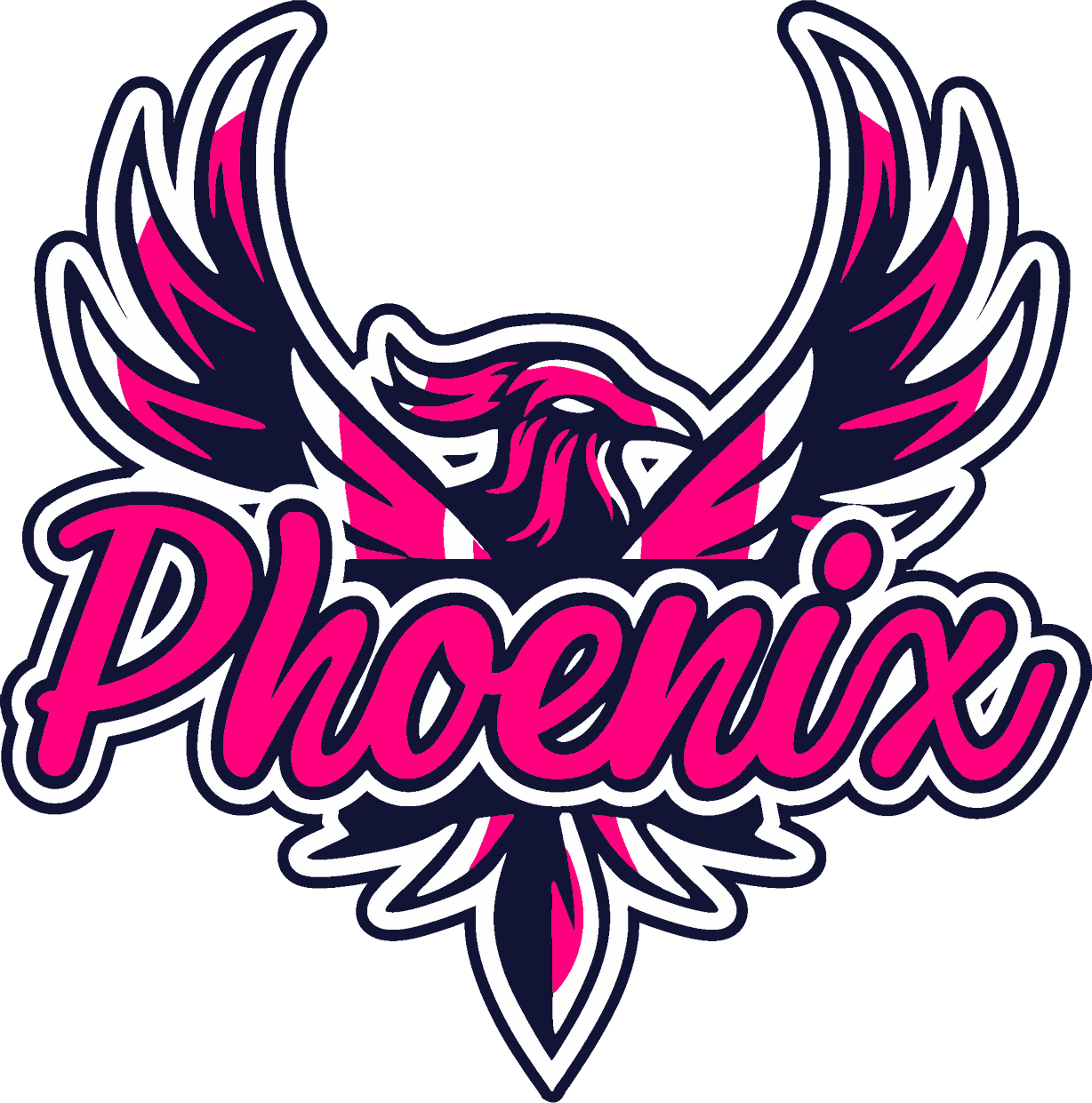 national-championship-sports-fastpitch-phoenix-12u-c