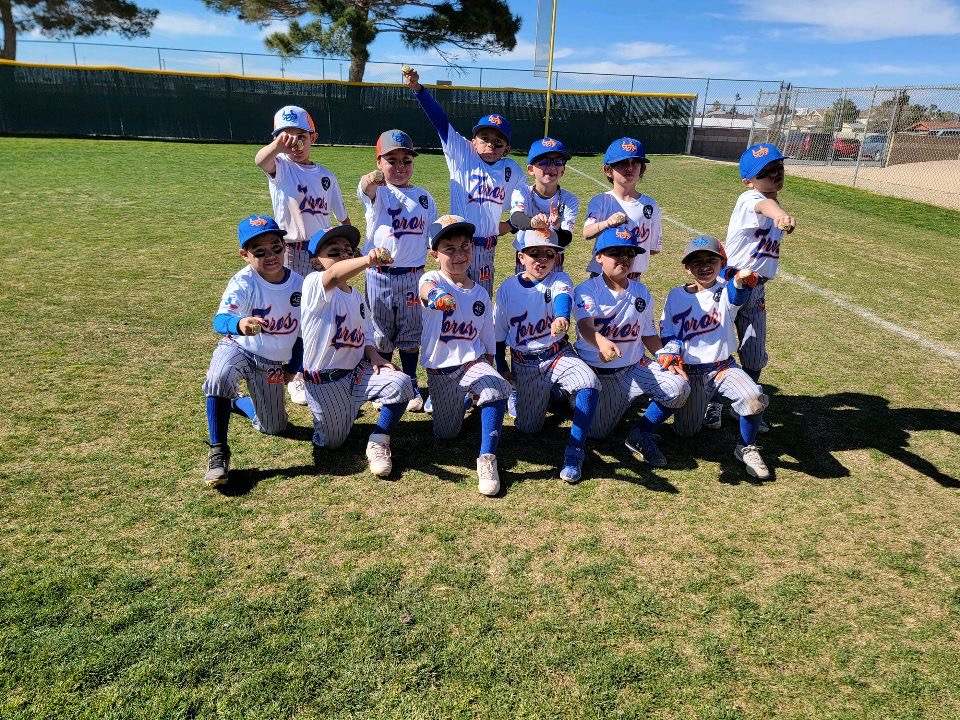 National Championship Sports Baseball Toro Bat Co. Toros Baseball