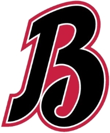 National Championship Sports | Baseball | Bessemer Barons | 13U D3