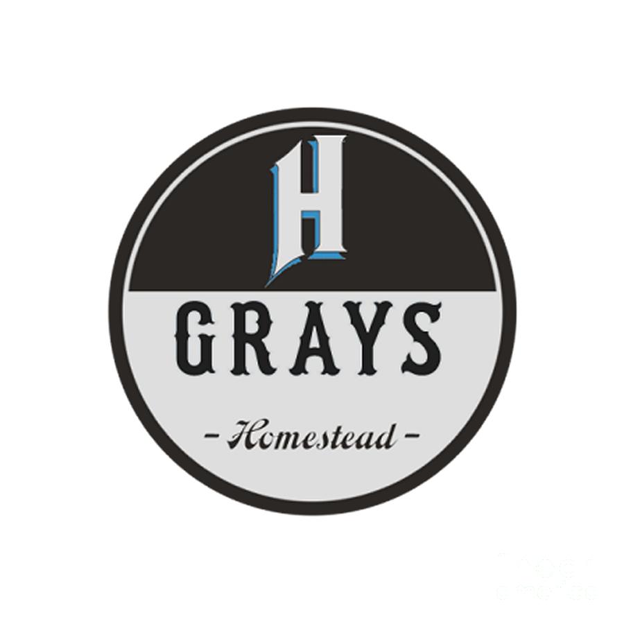 National Championship Sports | Baseball | Homestead Grays | 13U D2