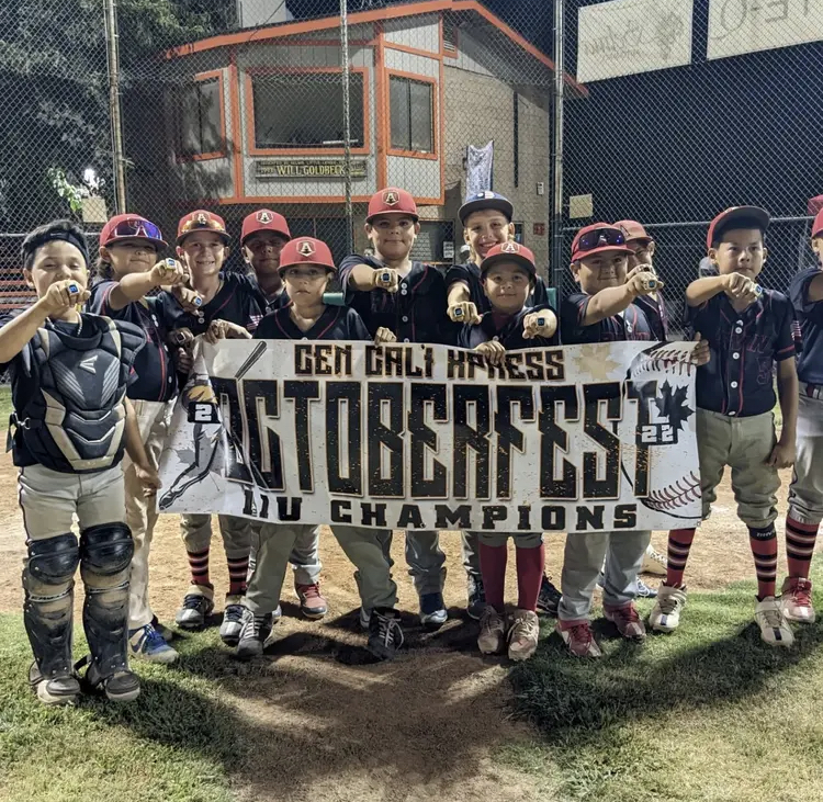 National Championship Sports Baseball Force 11U D3