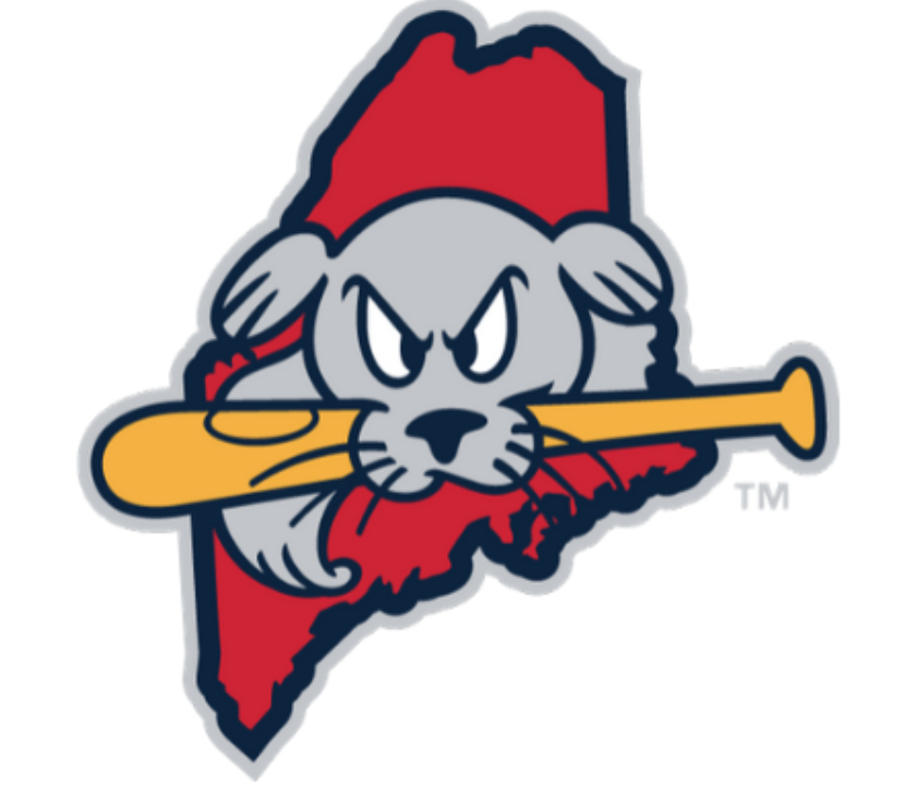 National Championship Sports Baseball Sea Dogs 9U D3