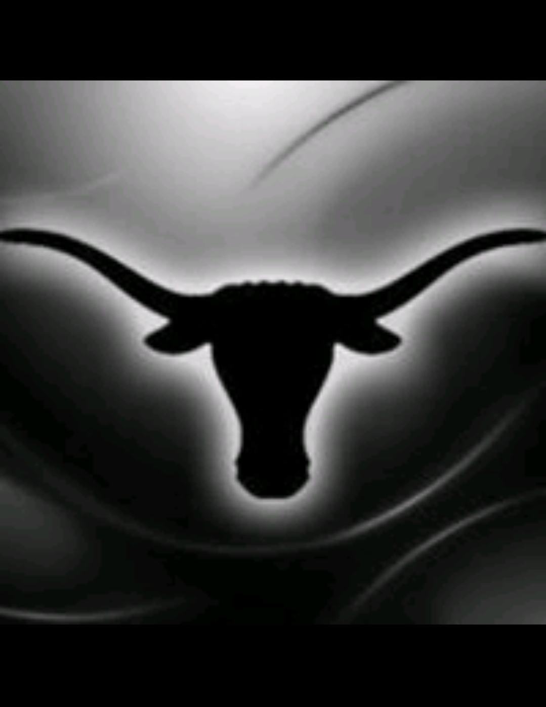 National Championship Sports Baseball LG Horns 13U D3