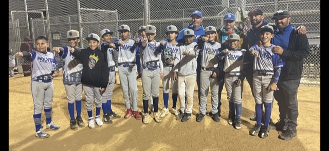 National Championship Sports | Baseball | San Diego Wolves 12u Grey ...