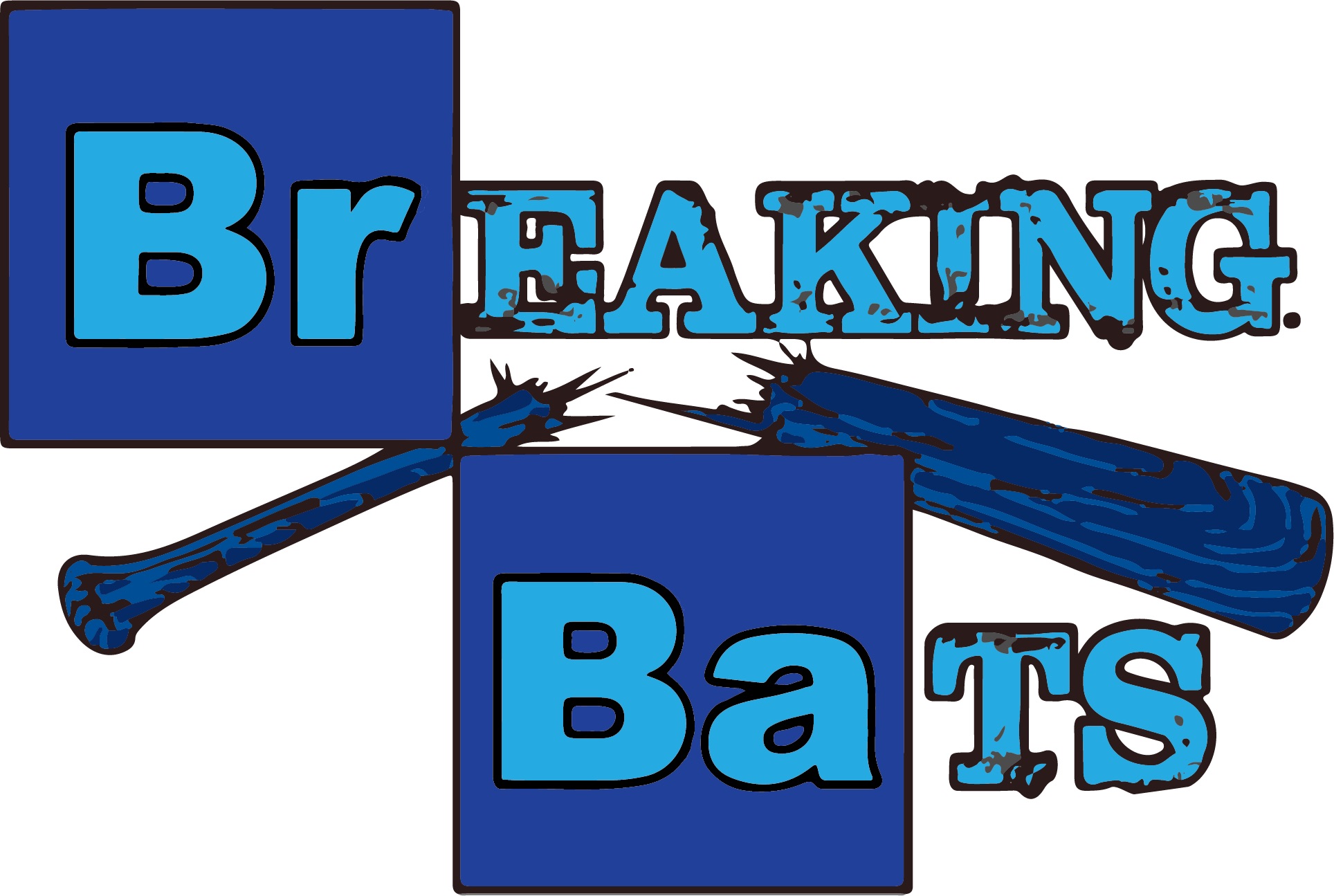 National Championship Sports Baseball Breaking Bats 11u 11U D1