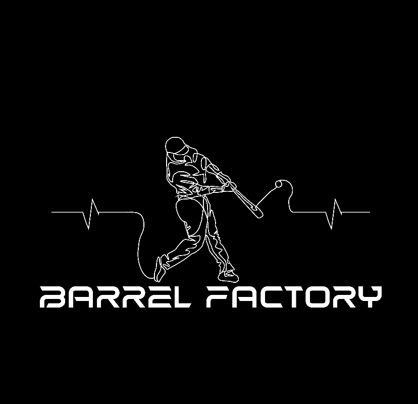 National Championship Sports Baseball Barrel Factory 8U D3 KP