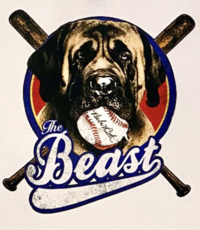 National Championship Sports Baseball Yuma Beast 11U D3