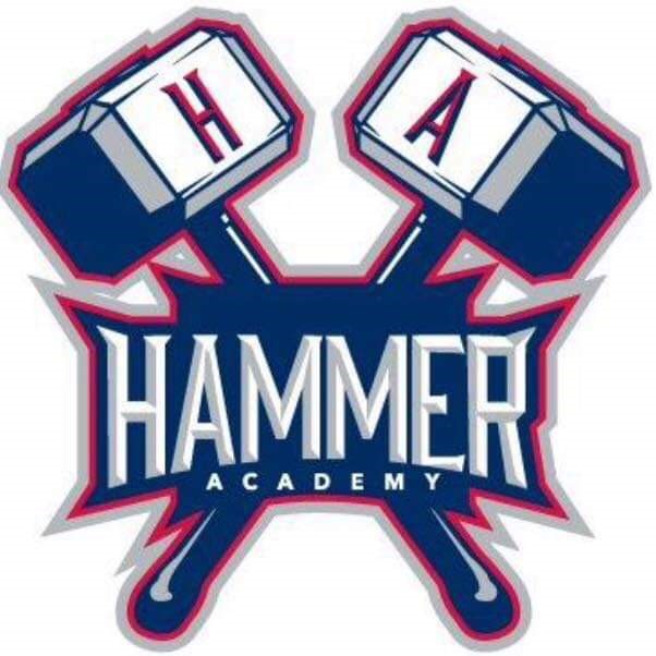 National Championship Sports Baseball Hammer Academy 11U 11U D3
