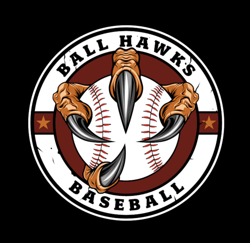 National Championship Sports Baseball Ballhawks 11U D1