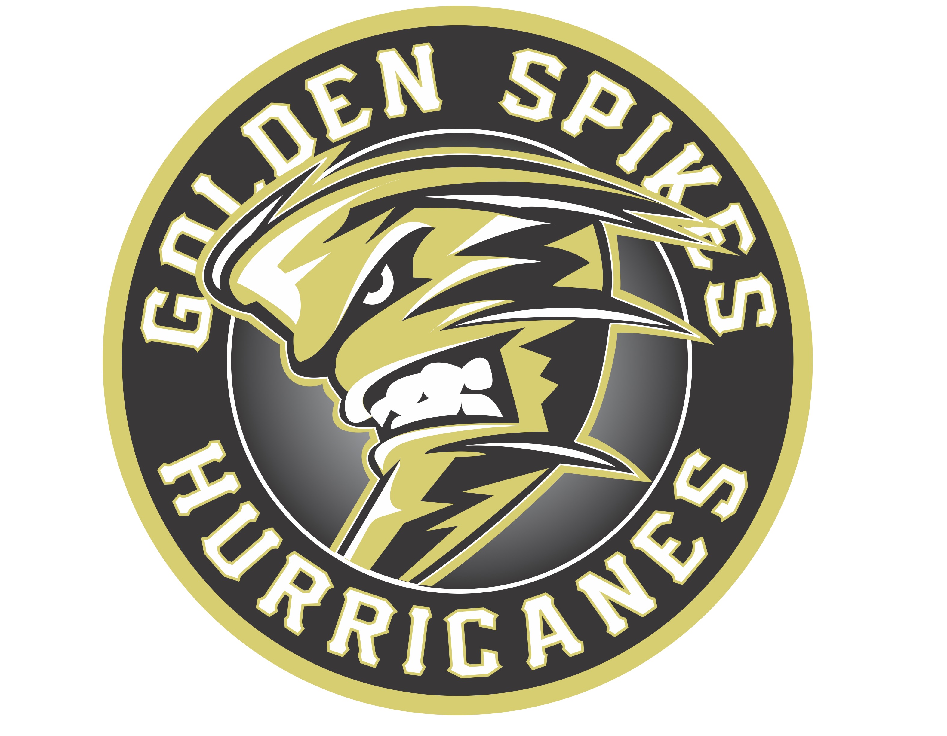 National Championship Sports | Baseball | Golden Spikes Hurricanes | 11U D2