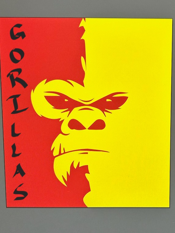 National Championship Sports Baseball North Texas GorillasDenton