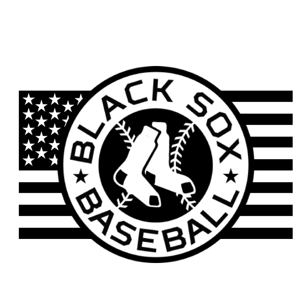 National Championship Sports Baseball South Bay Black Sox 14U 14U D2