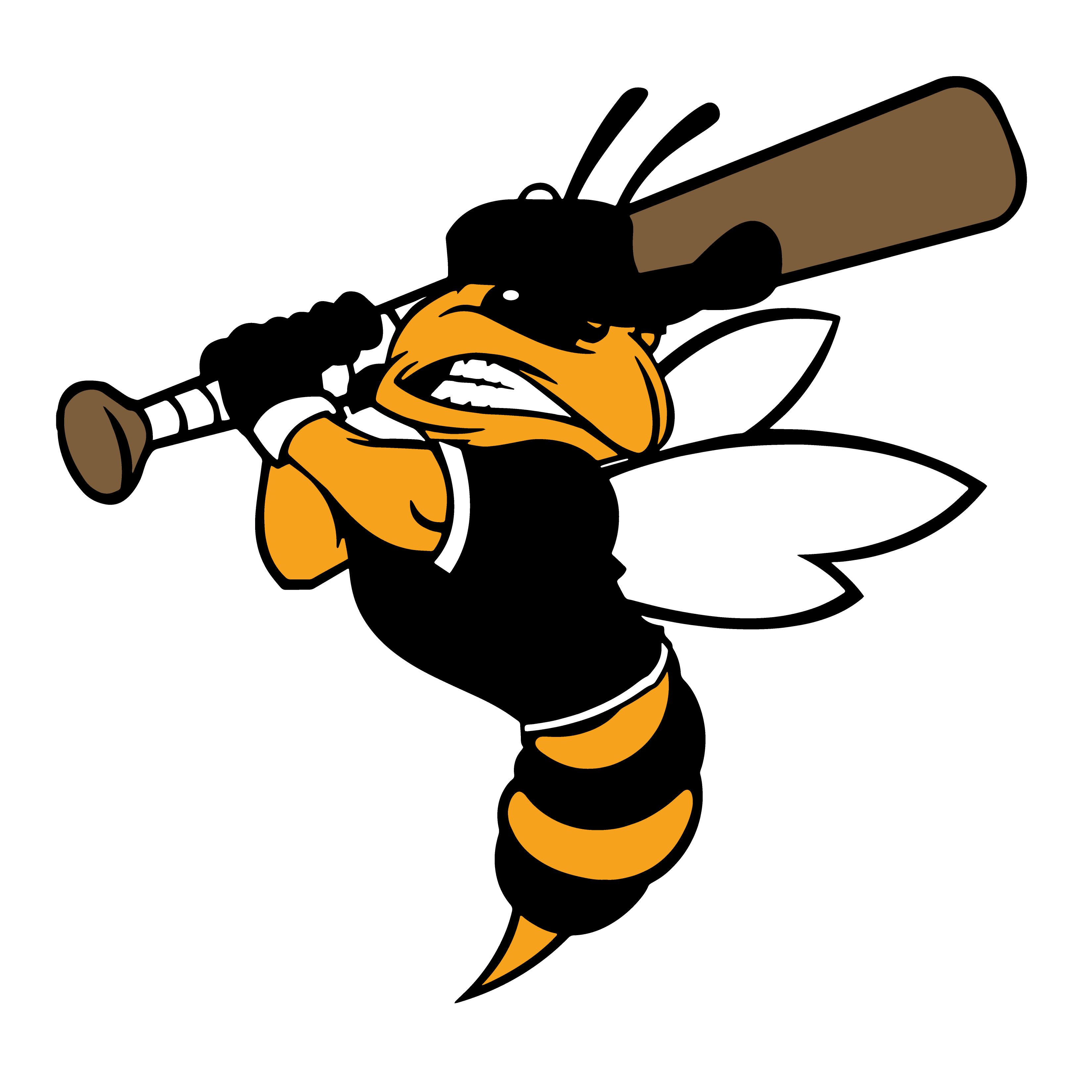 National Championship Sports Baseball Yellow Jackets 12U D2