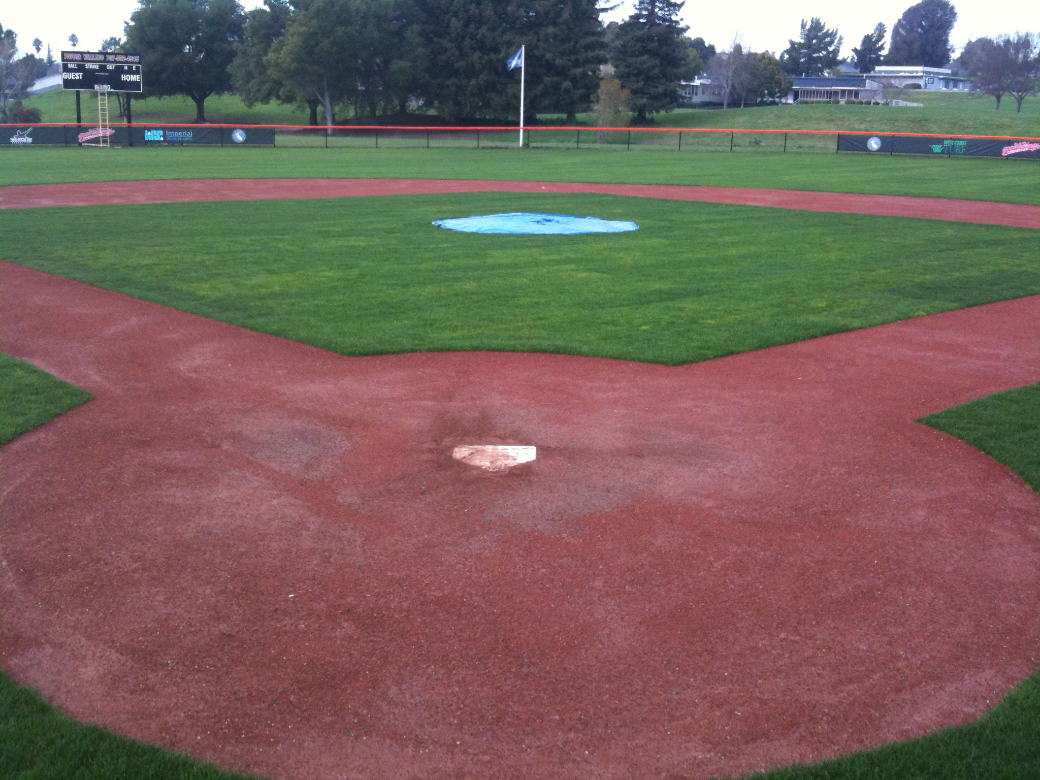 National Championship Sports Baseball Phenom Baseball Academy 14U D1