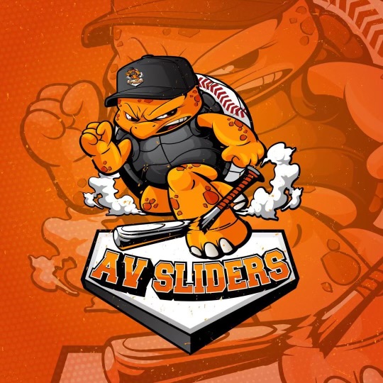 National Championship Sports Baseball AV Sliders 10U D3