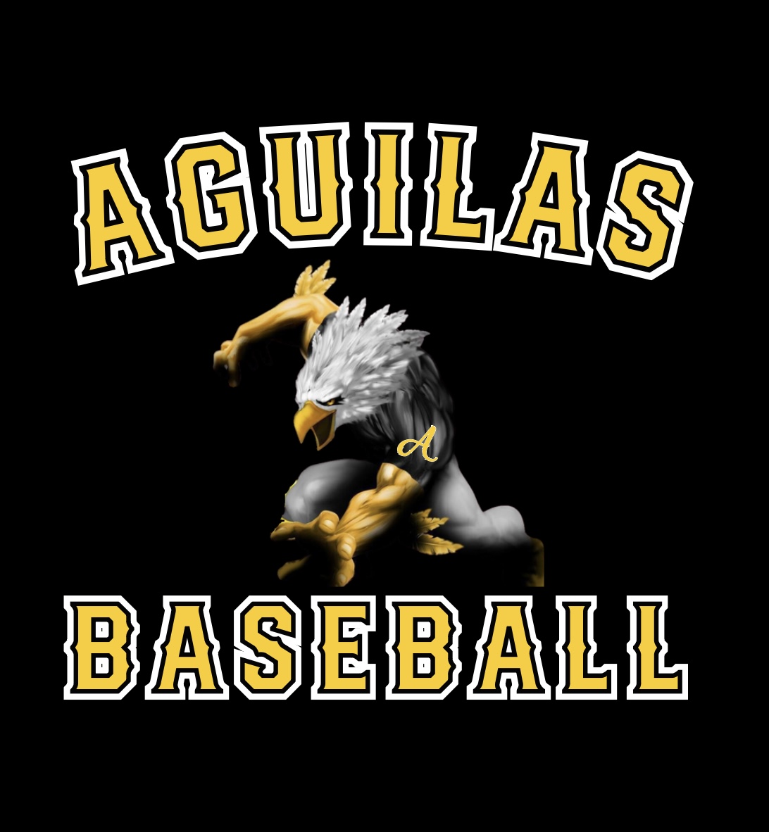 National Championship Sports | Baseball | Aguilas | 10U D2