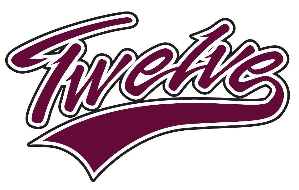 National Championship Sports Baseball Twelve 8u Silver 8U D3