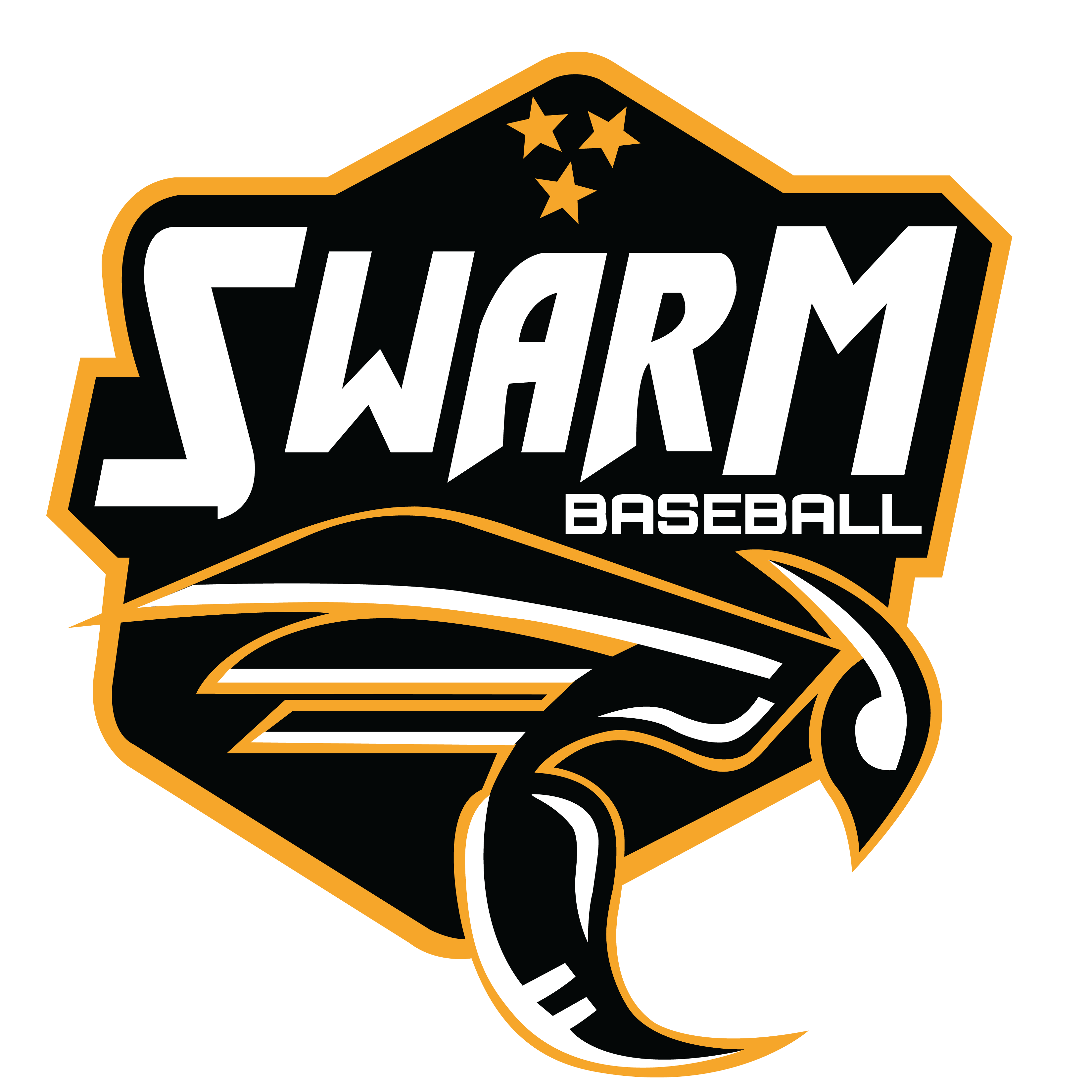 National Championship Sports | Baseball | Swarm Baseball | 8U D3 CP