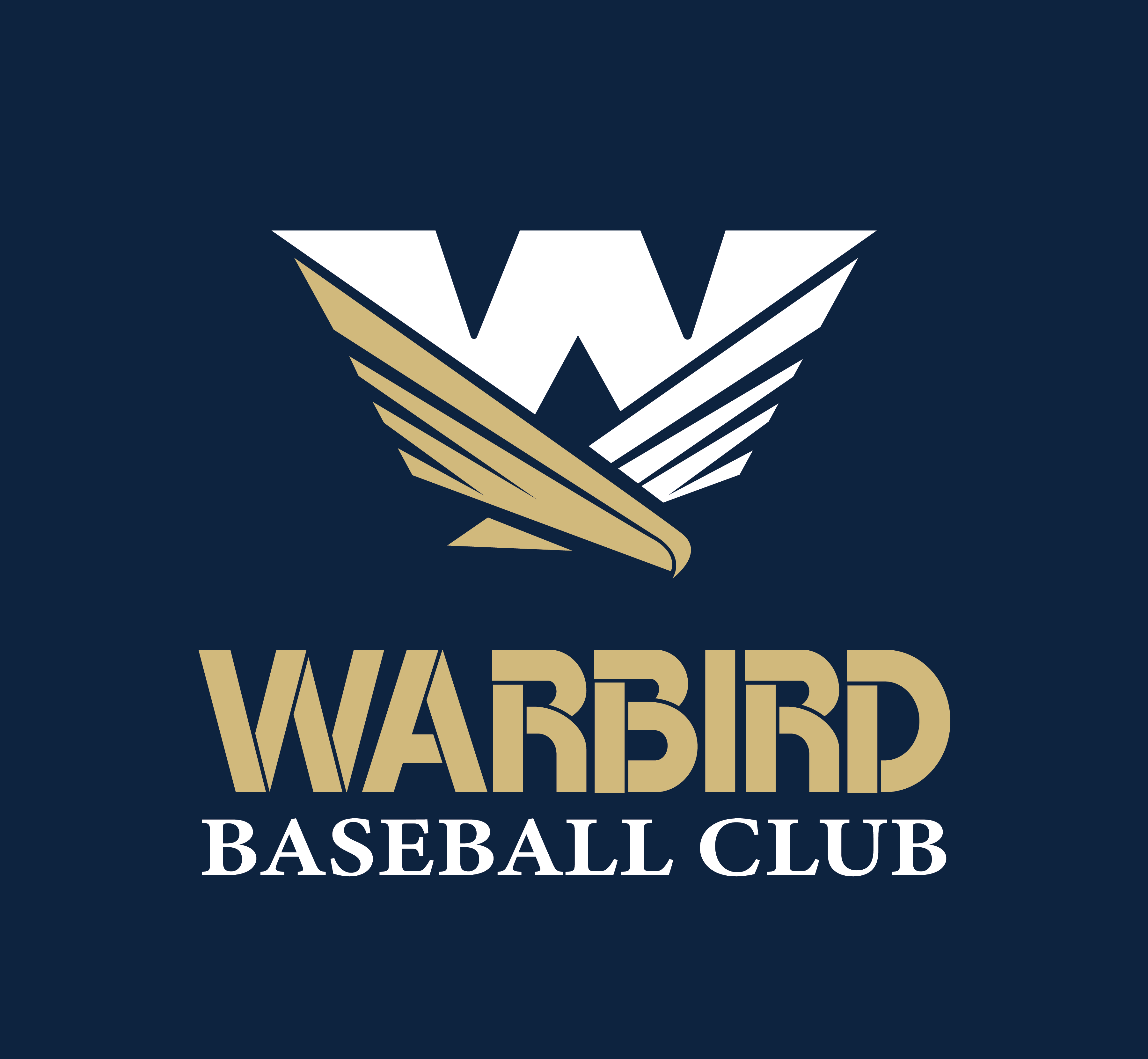 National Championship Sports Baseball Warbird Baseball 14U D3