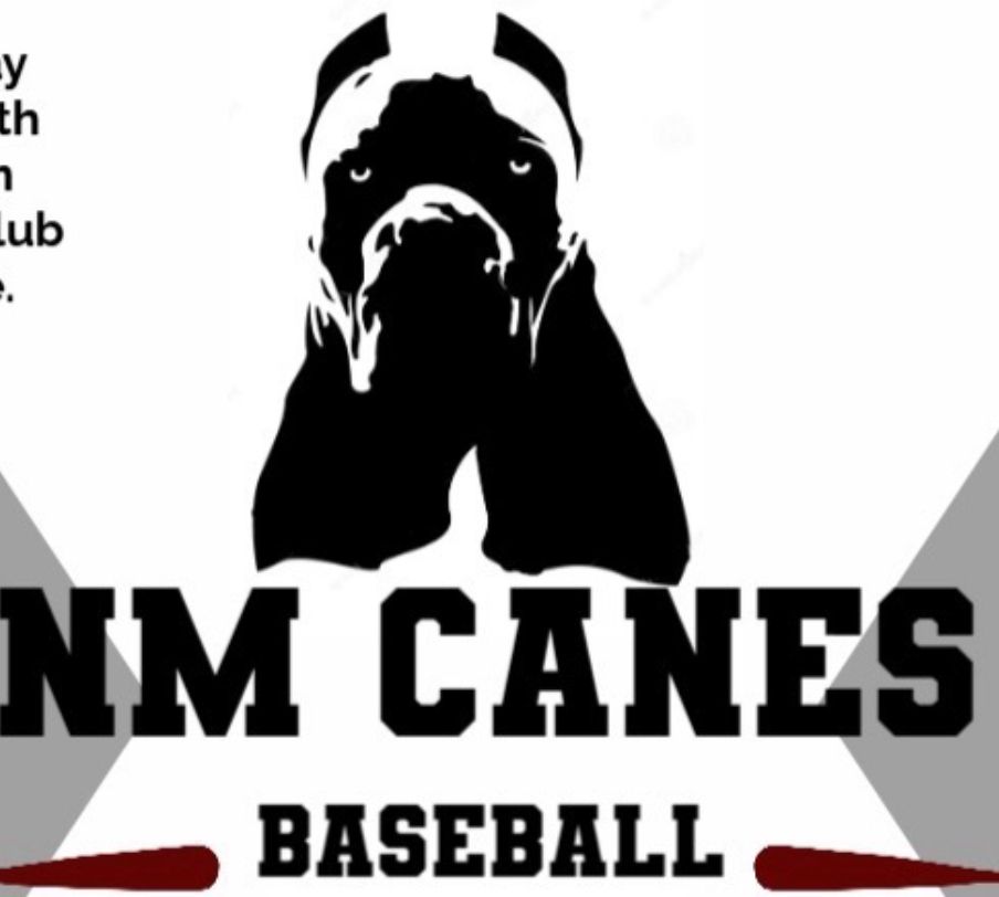 National Championship Sports | Baseball | NM CANES baseball | 11U D2